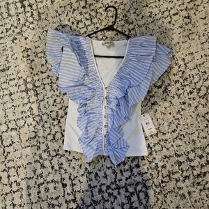 Elegant Blue Ruffle Blouse